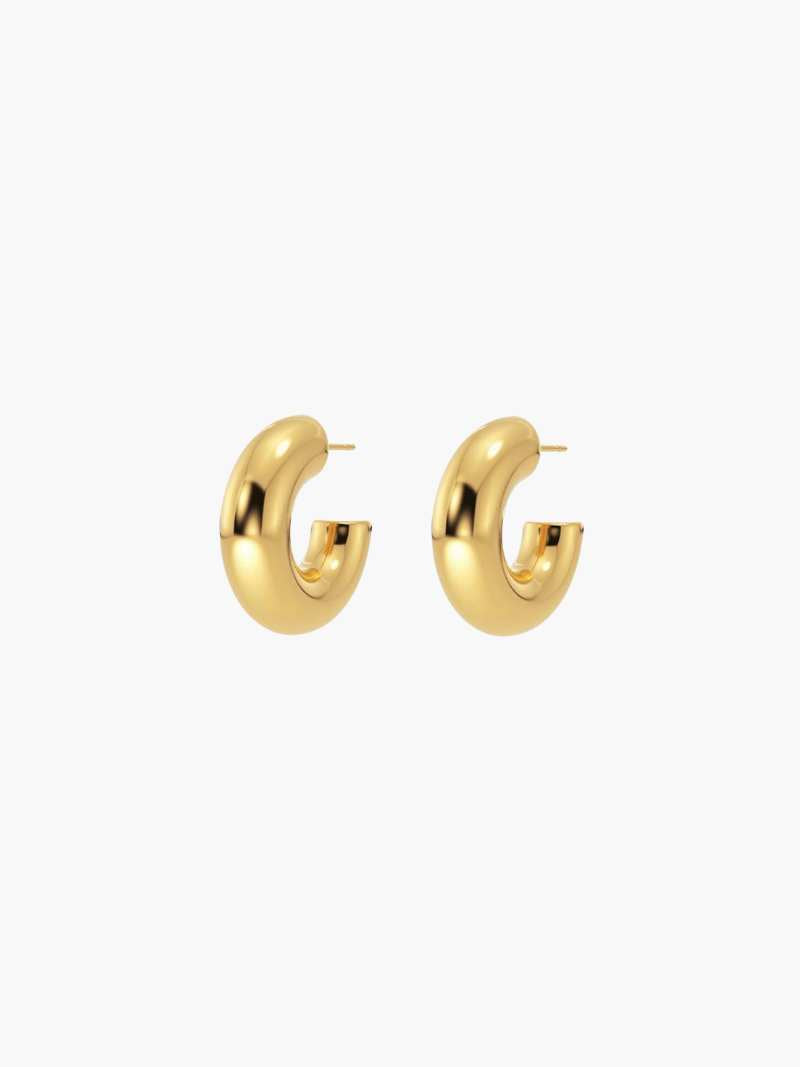 Chunky Hoops Earrings